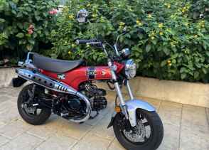 HONDA DAX ST - 2023