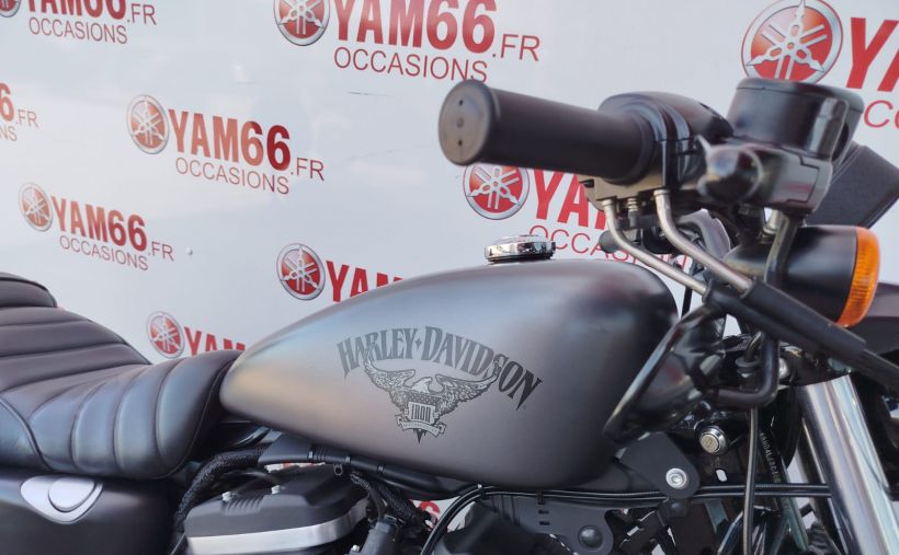 HARLEY-DAVIDSON SPORTSTER IRON 883 ABS 13
