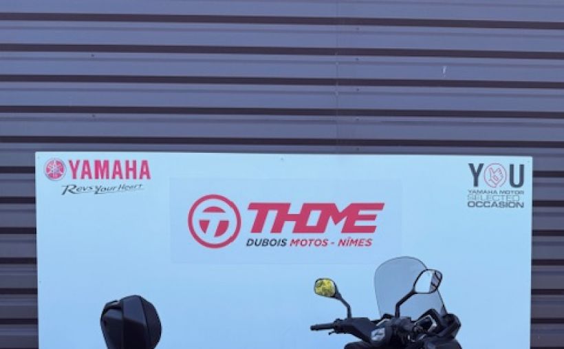 YAMAHA XMAX 125 6