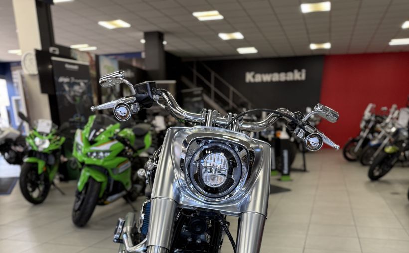 HARLEY-DAVIDSON SOFTAIL FAT BOY 1868 18