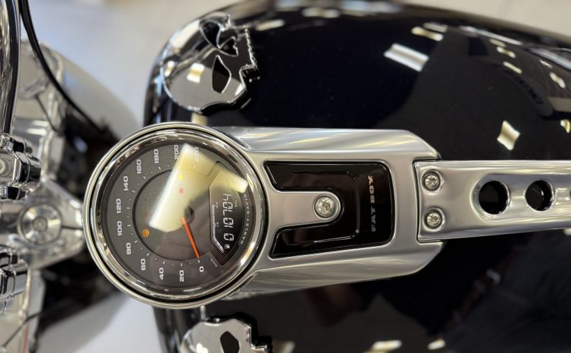 HARLEY-DAVIDSON SOFTAIL FAT BOY 1868 54