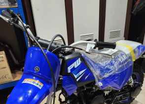 YAMAHA PW50 - 2024