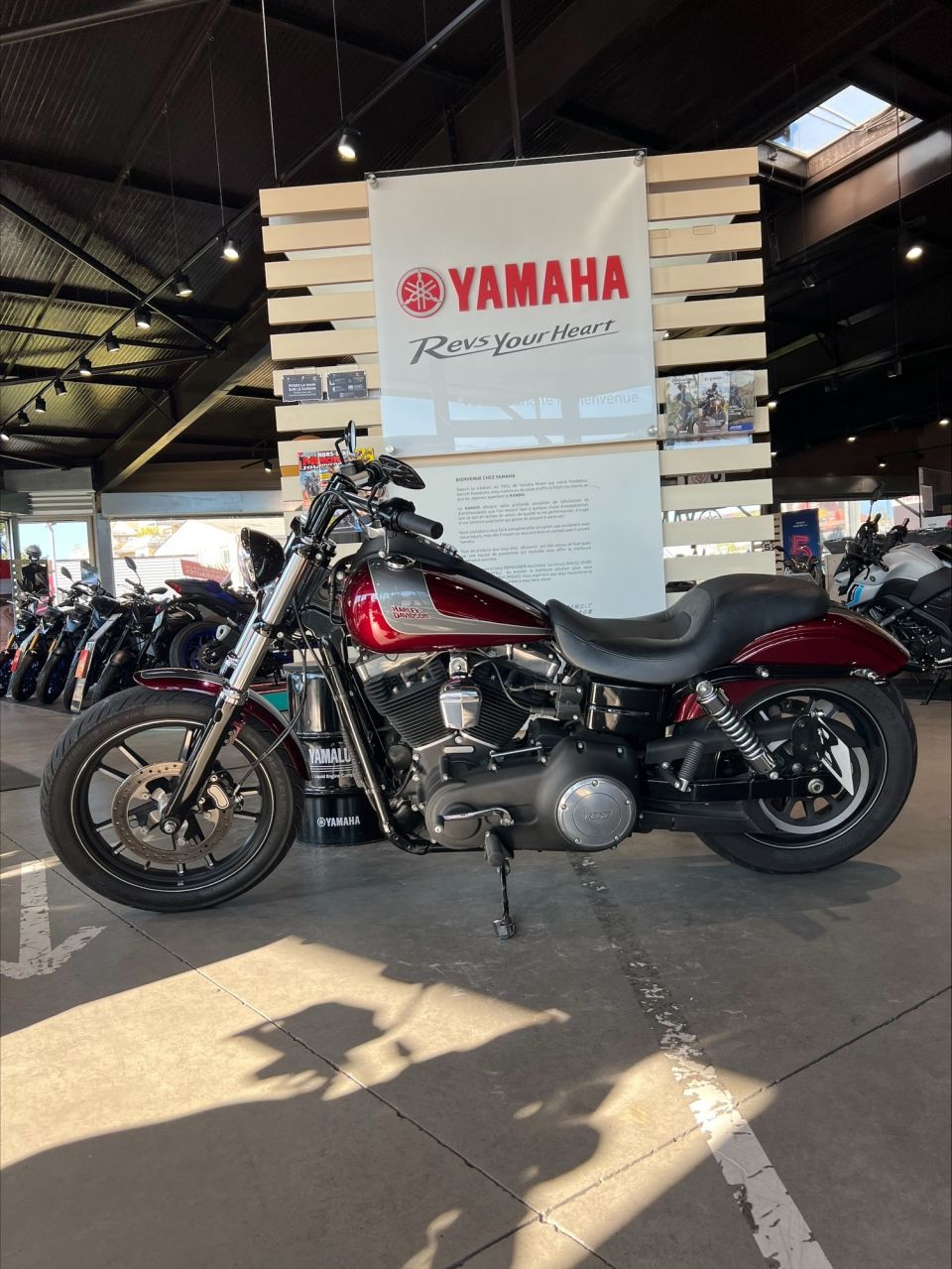 HARLEY-DAVIDSON DYNA STREET BOB 1690 2