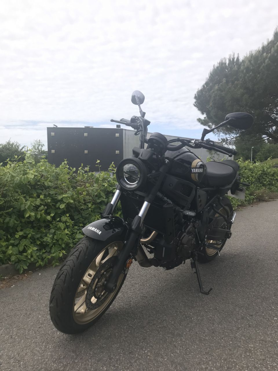 YAMAHA XSR 700 12