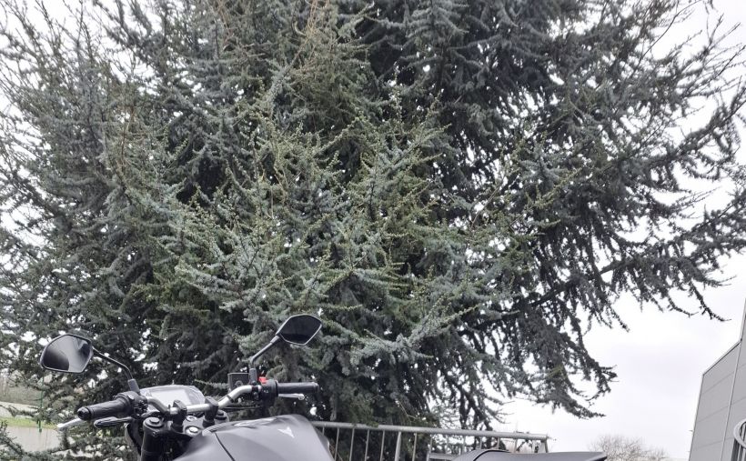 YAMAHA MT-03 300 4