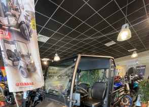 YAMAHA UMX HOMOLOGUE - 2024