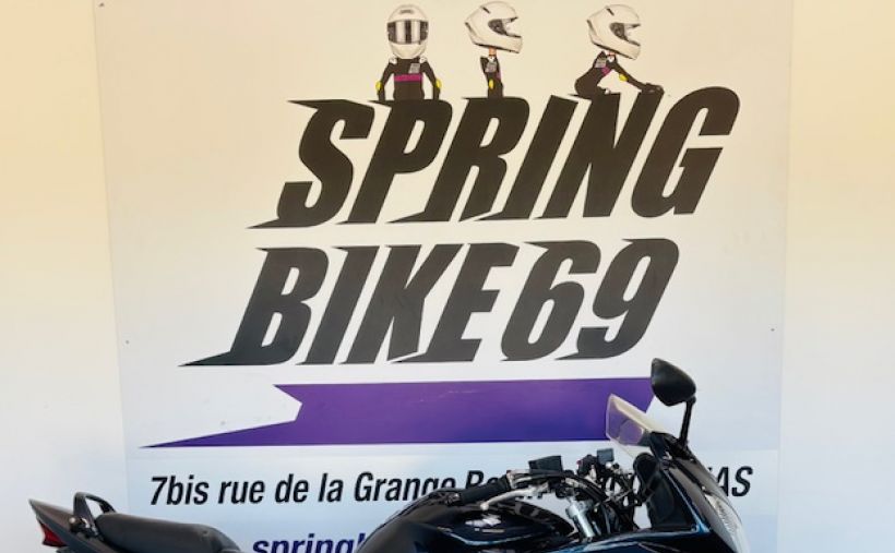 SUZUKI GSF 650 S BANDIT 8