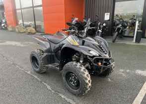 YAMAHA WOLVERINE 350 - 2010