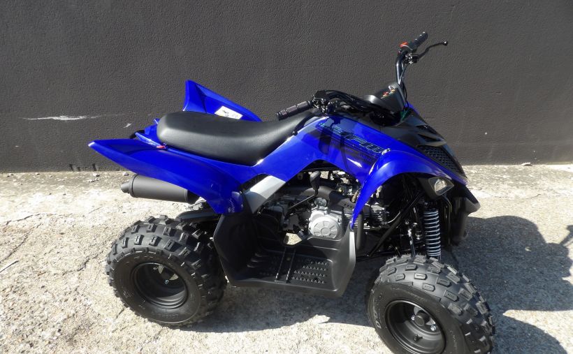YAMAHA YFM RAPTOR 110 0