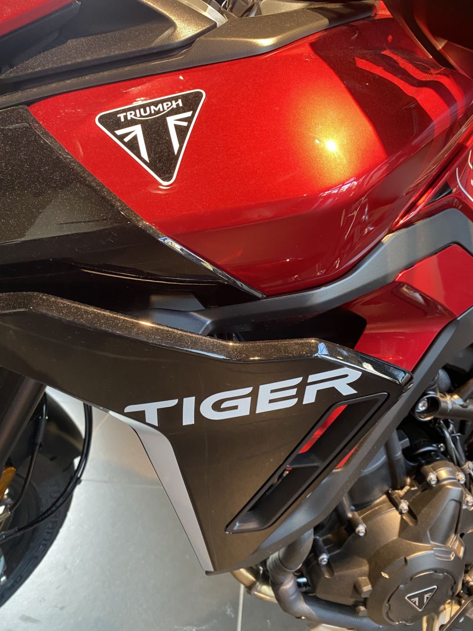 TRIUMPH Tiger 900 GT PRO 3