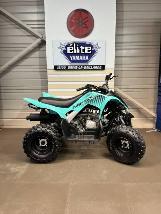 YAMAHA YFM 110 R - 2025