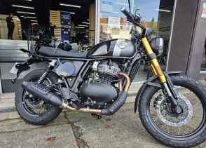 ROYAL ENFIELD BEAR - 2025