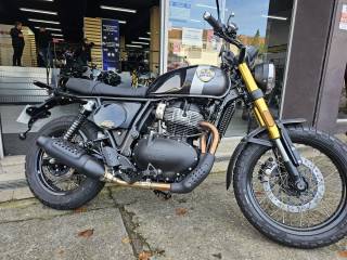 ROYAL ENFIELD BEAR - 2025