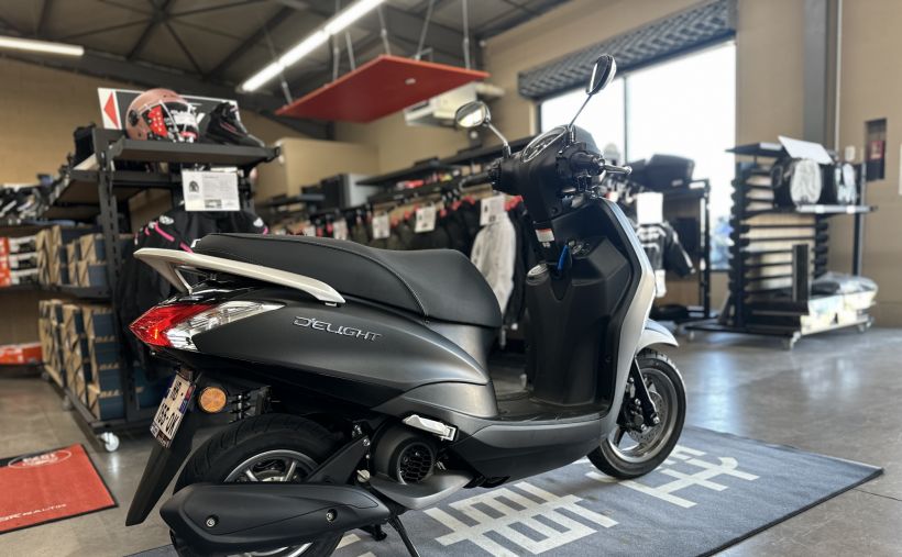 YAMAHA D'ELIGHT 4