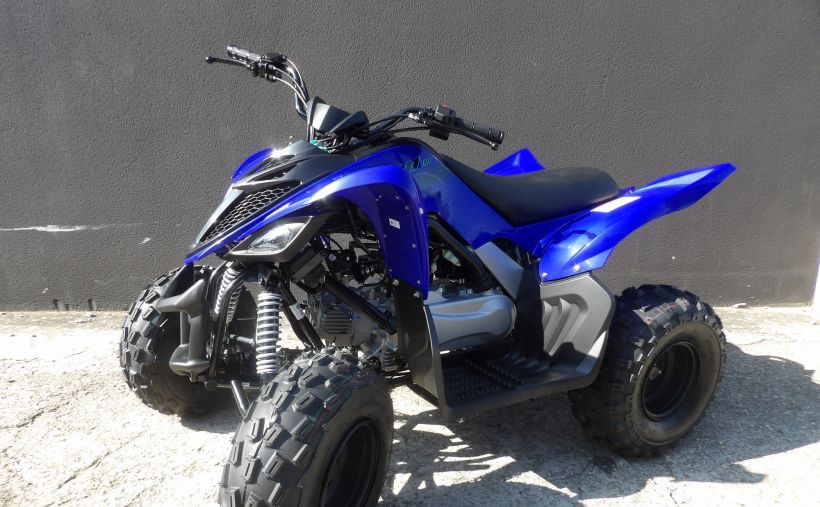 YAMAHA YFM RAPTOR 110 3