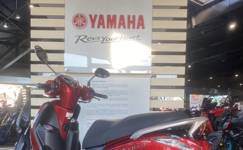 YAMAHA D'ELIGHT 3