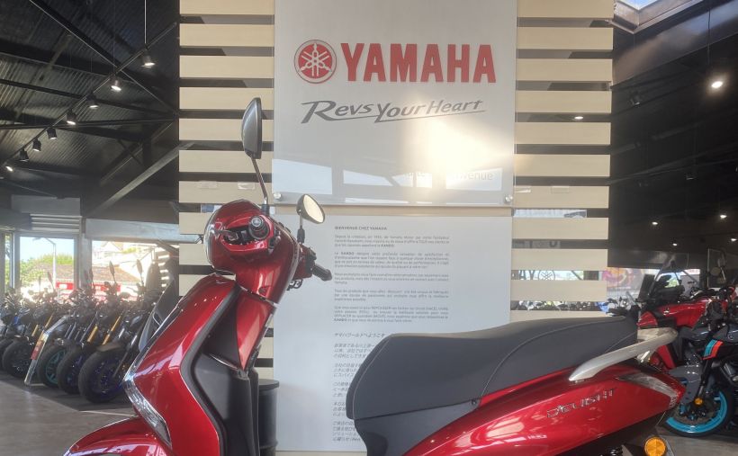 YAMAHA D'ELIGHT 4