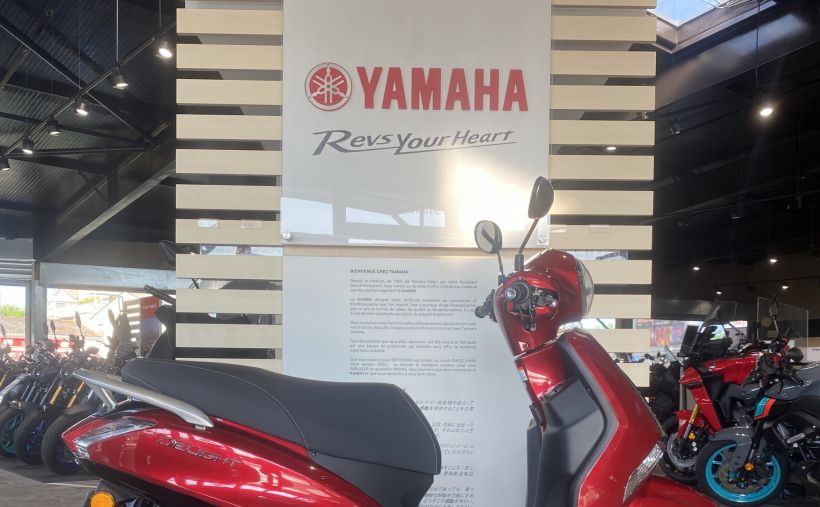YAMAHA D'ELIGHT 5