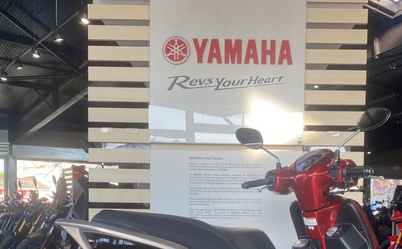 YAMAHA D'ELIGHT 2