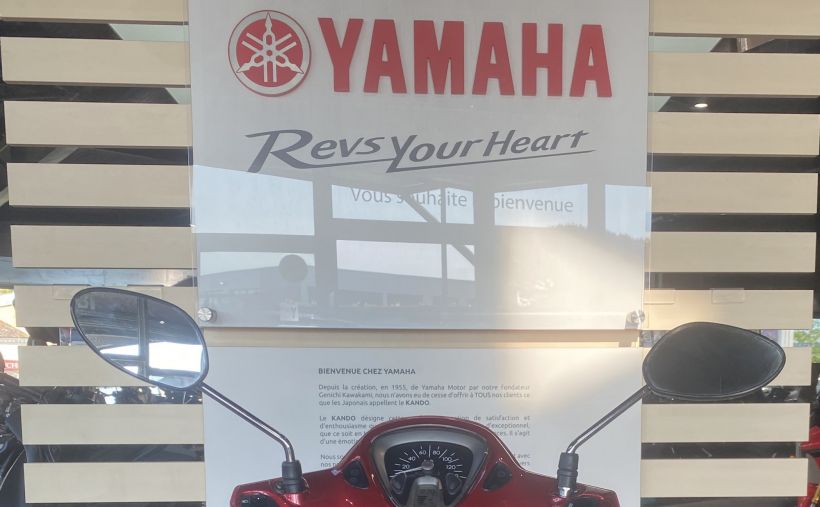 YAMAHA D'ELIGHT 7