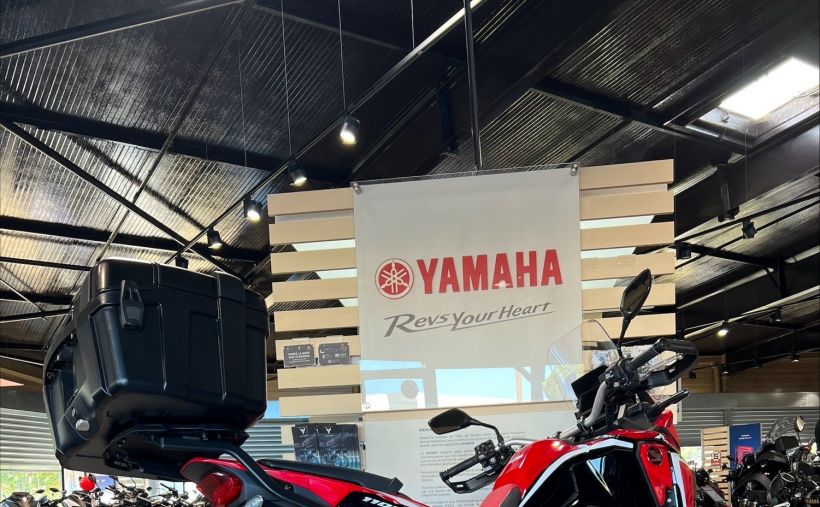 HONDA Africa Twin CRF1100L 6