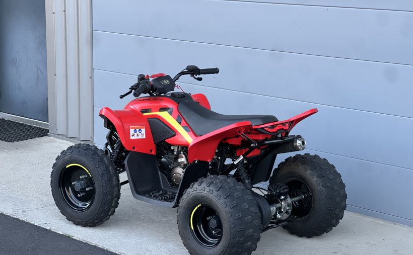 CF MOTO CFORCE 110 5