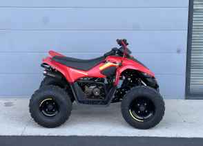 CF MOTO CFORCE 110 - 2022