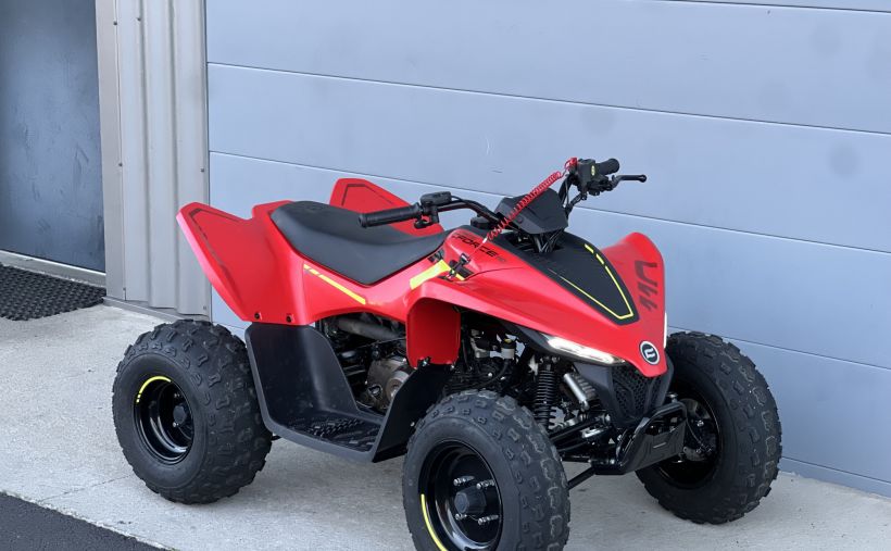 CF MOTO CFORCE 110 1