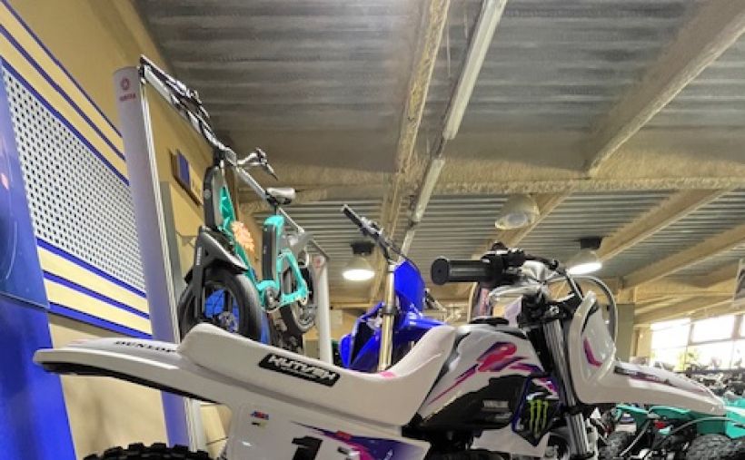 YAMAHA PW50 2