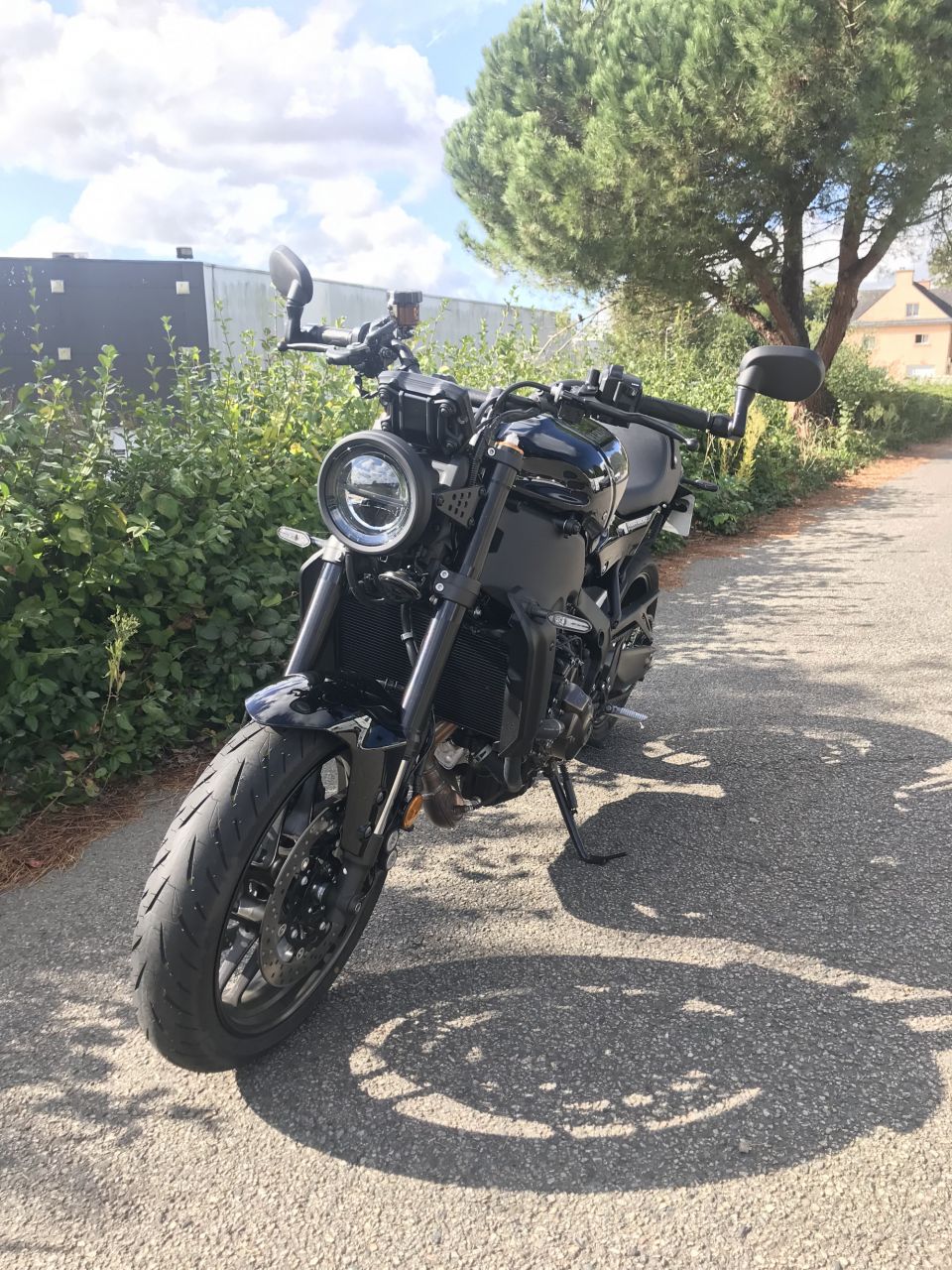 YAMAHA XSR 900 12