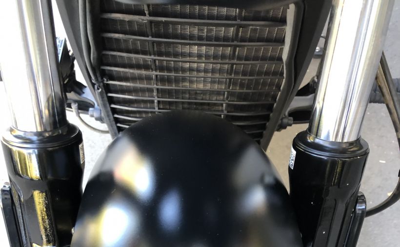 INDIAN SCOUT ROGUE 1133 50