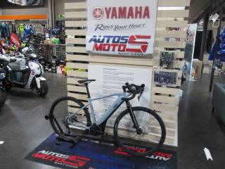 YAMAHA WABASH RT - 2023