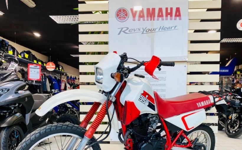 YAMAHA XT 350 3