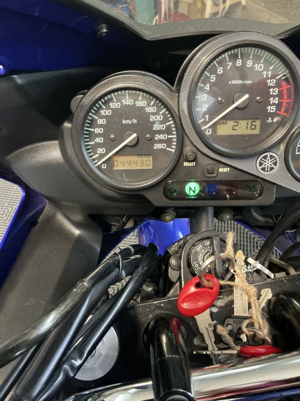 YAMAHA FZ6 600 FAZER 98CV 6