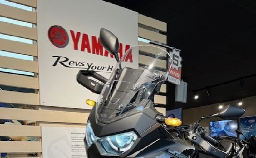 HONDA Africa Twin CRF1100L 7