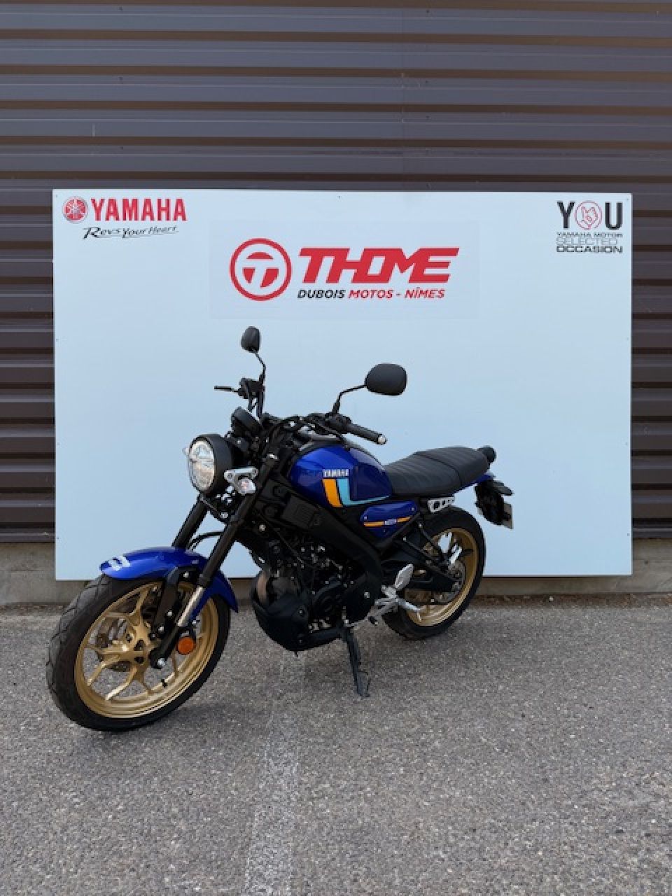 YAMAHA XSR 125 3
