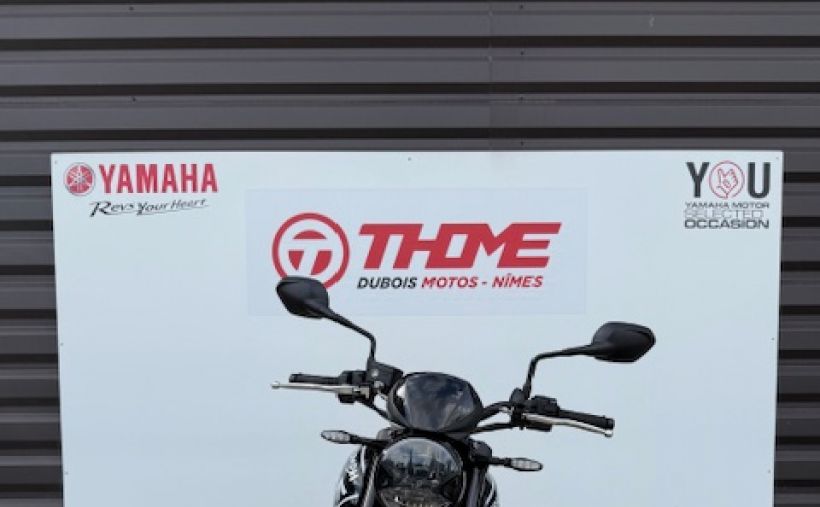 TRIUMPH TRIDENT 660 2
