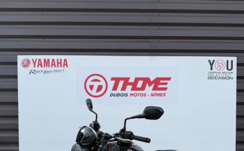 TRIUMPH TRIDENT 660 3