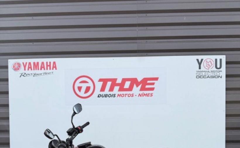 TRIUMPH TRIDENT 660 5