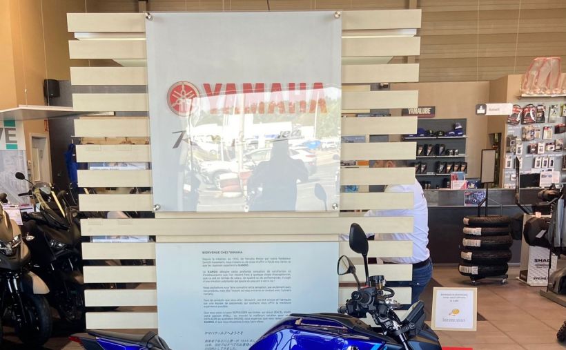 YAMAHA MT-09 5