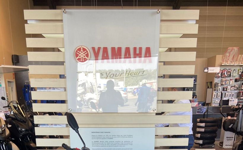 YAMAHA MT-09 6