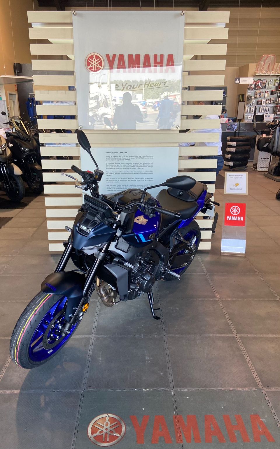 YAMAHA MT-09 6