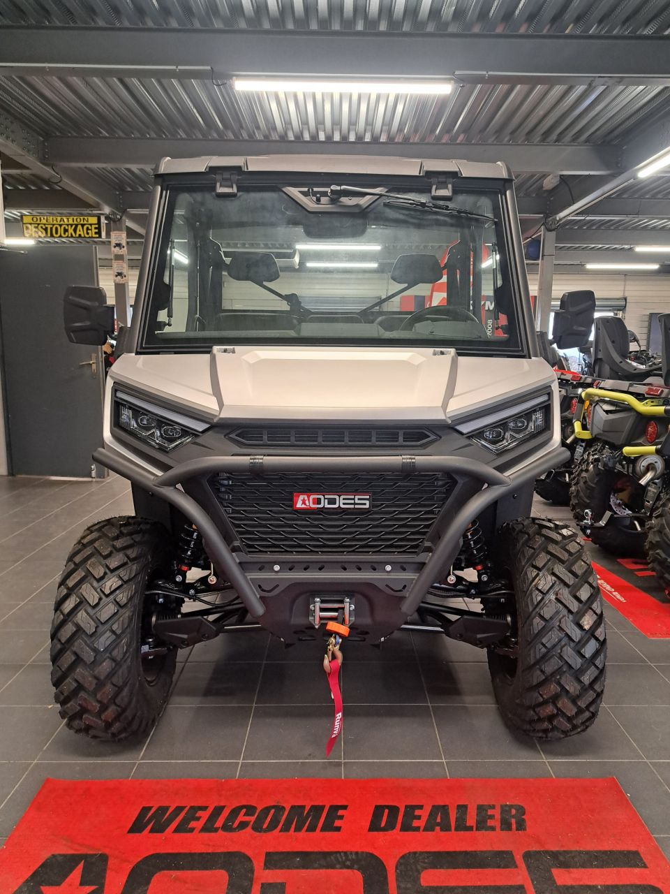 AODES SSV 1000 WORKCROSS 5