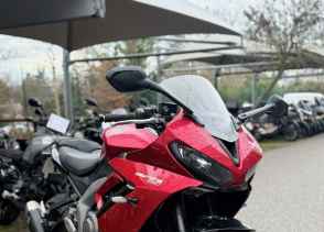 TRIUMPH 	DAYTONA 660 - 2024