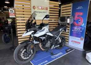 TRIUMPH Tiger 900 GT PRO - 2020