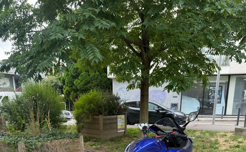 YAMAHA YZF-R3 2