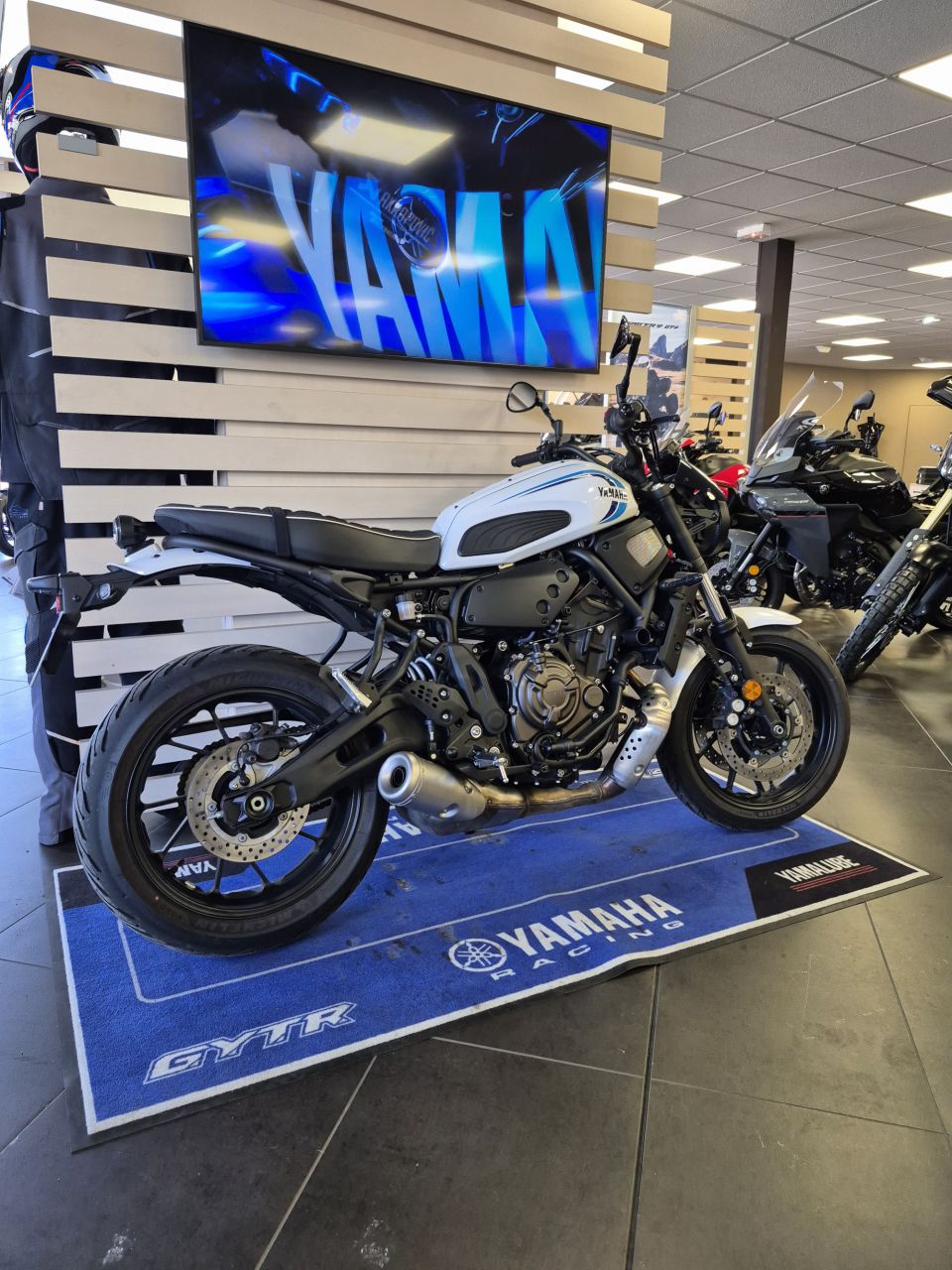 YAMAHA XSR 700 35KW 2