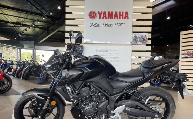YAMAHA MT-03 6