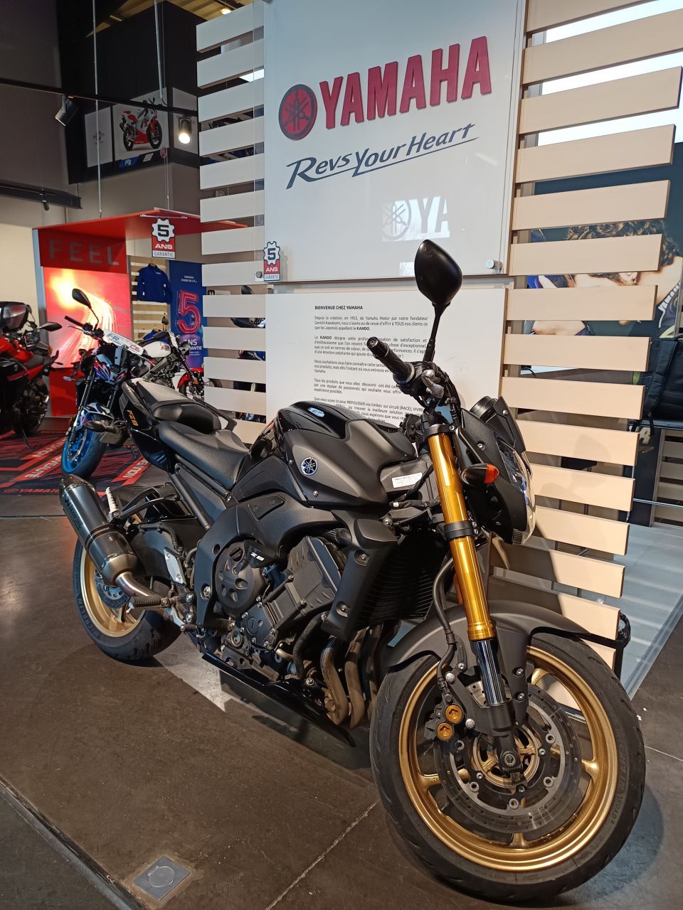 YAMAHA FZ8 SP-R 0
