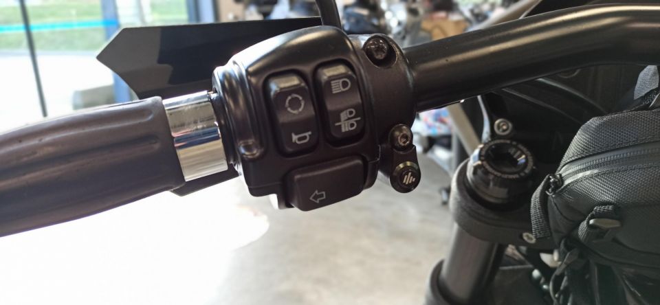 HARLEY-DAVIDSON LOW RIDER S 1868 20